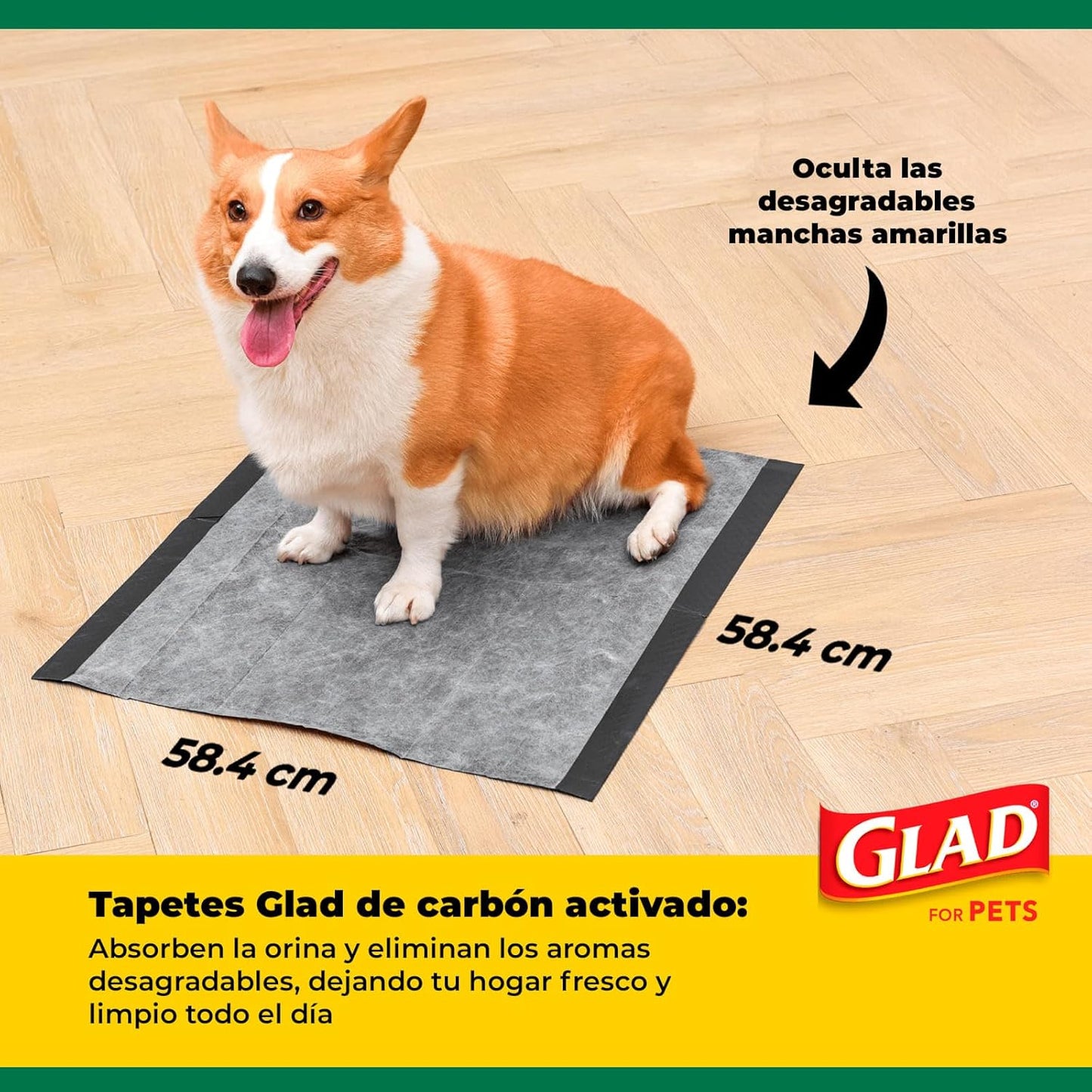 SKAFFLES FFP8654ST 100 Count Pets Activated Carbon Training Pads
